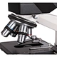 Best Trinocular Microscope